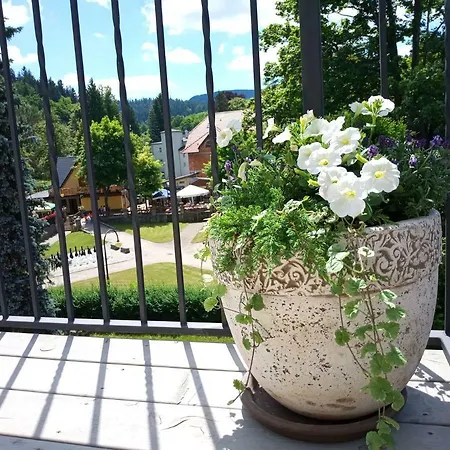 Apartment Dolce Duszniki Zdrój